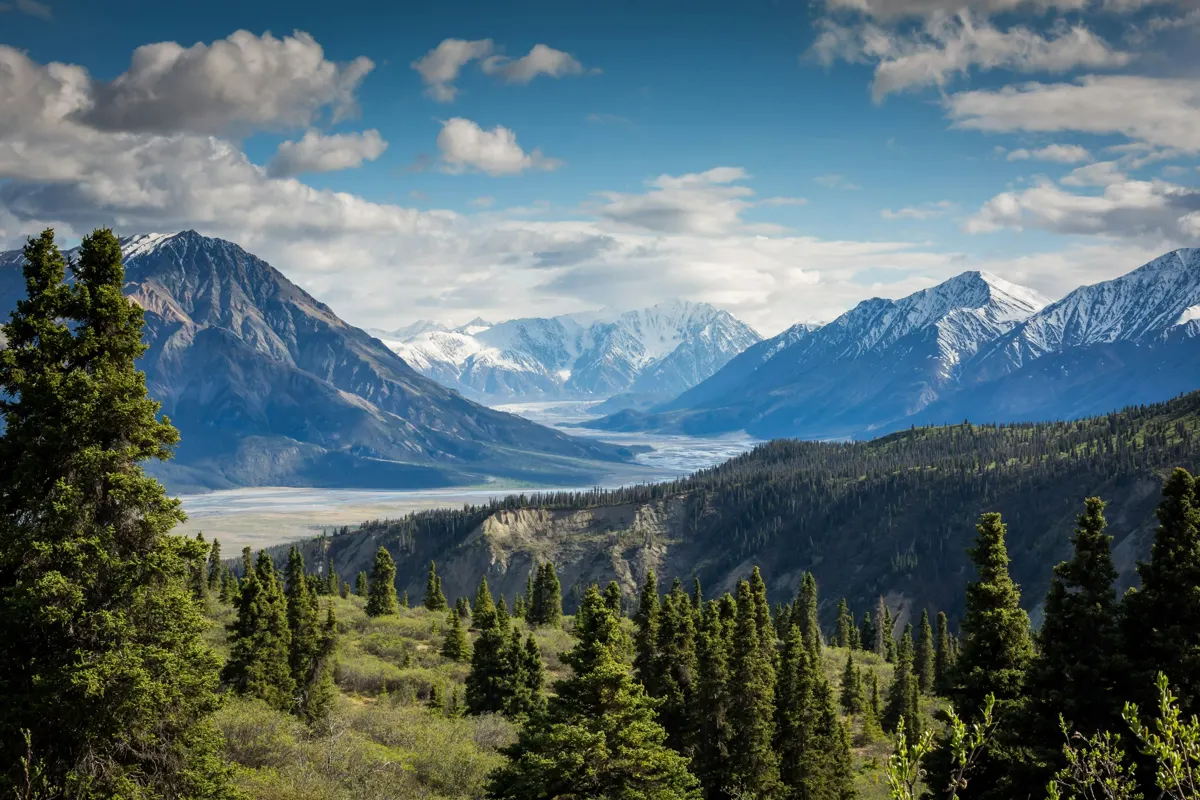 Chaîne de montagnes au-dessus d'une forêt de sapins